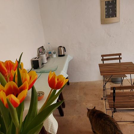 Razzett Warda B&B กฮาสลิ ภายนอก รูปภาพ