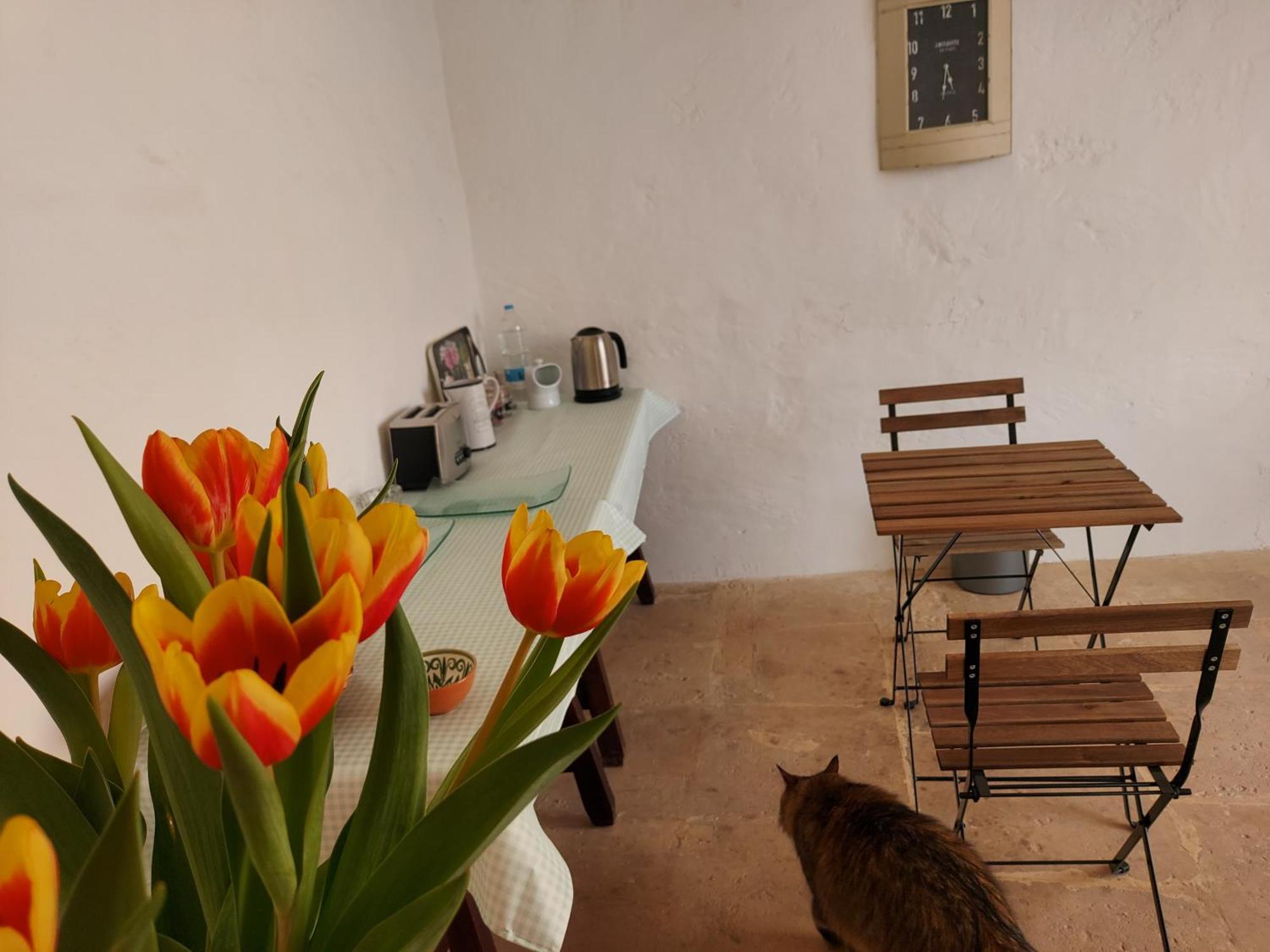 Razzett Warda B&B กฮาสลิ ภายนอก รูปภาพ
